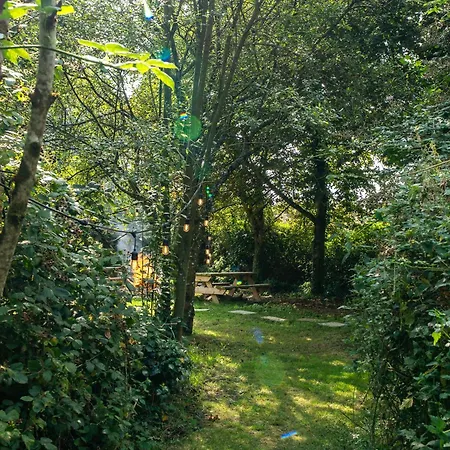 Rushbrook Log With Sauna Lodge