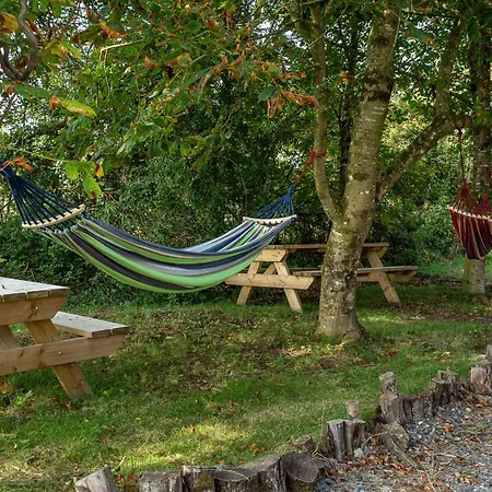 Rushbrook Log With Sauna * Edenderry
