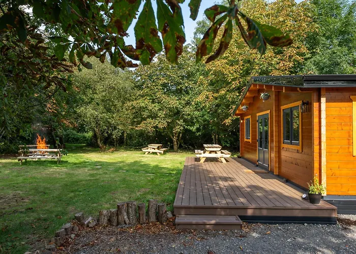 Orman Evi Rushbrook Log With Sauna Edenderry