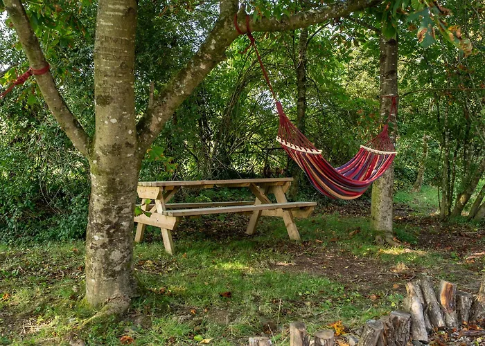 Orman Evi Rushbrook Log With Sauna Edenderry