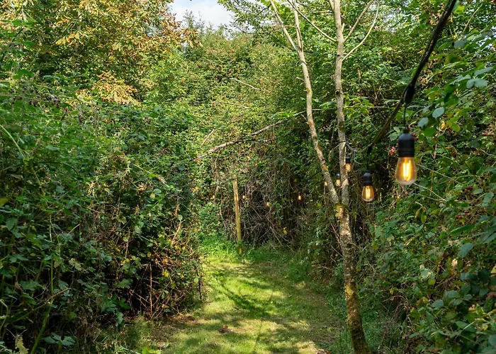 Rushbrook Log With Sauna Orman Evi *