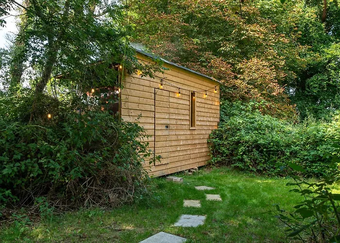 Rushbrook Log With Sauna Orman Evi Edenderry